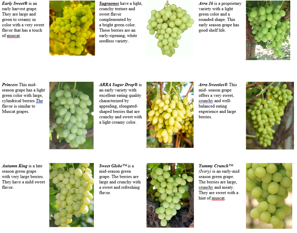 Quel est le cépage du vin ?